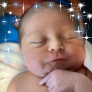 Meet your Posher, Annie